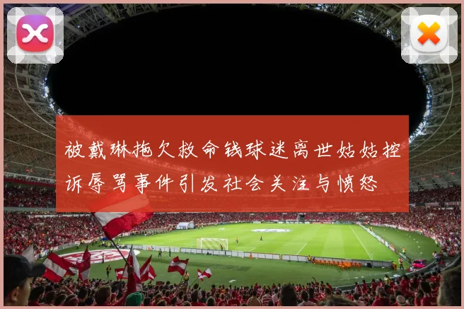 被戴琳拖欠救命钱球迷离世姑姑控诉辱骂事件引发社会关注与愤怒