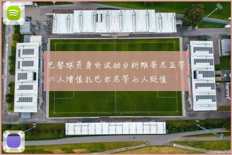 巴黎球员身价波动分析维蒂尼亚等六人增值扎巴尔尼等七人贬值