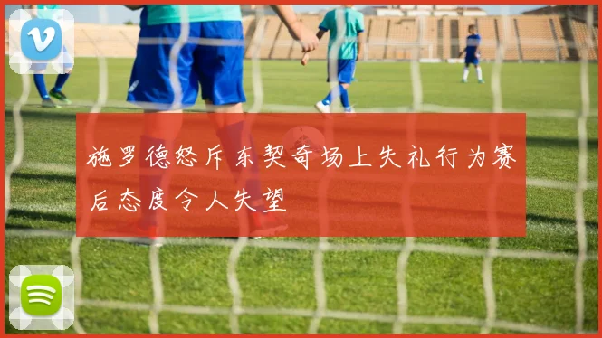 施罗德怒斥东契奇场上失礼行为赛后态度令人失望